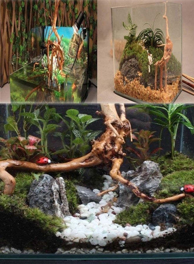 DEZIINE�1 Pcs Aquarium Driftwood 8 to 10Inch, Spider Wood Sinkable Driftwood for Fish Tank Decorations Natural Branches for Reptile - Image 5